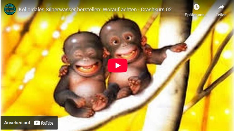 Crashkurs 2 - Wie gute Silberwasser herstellen.